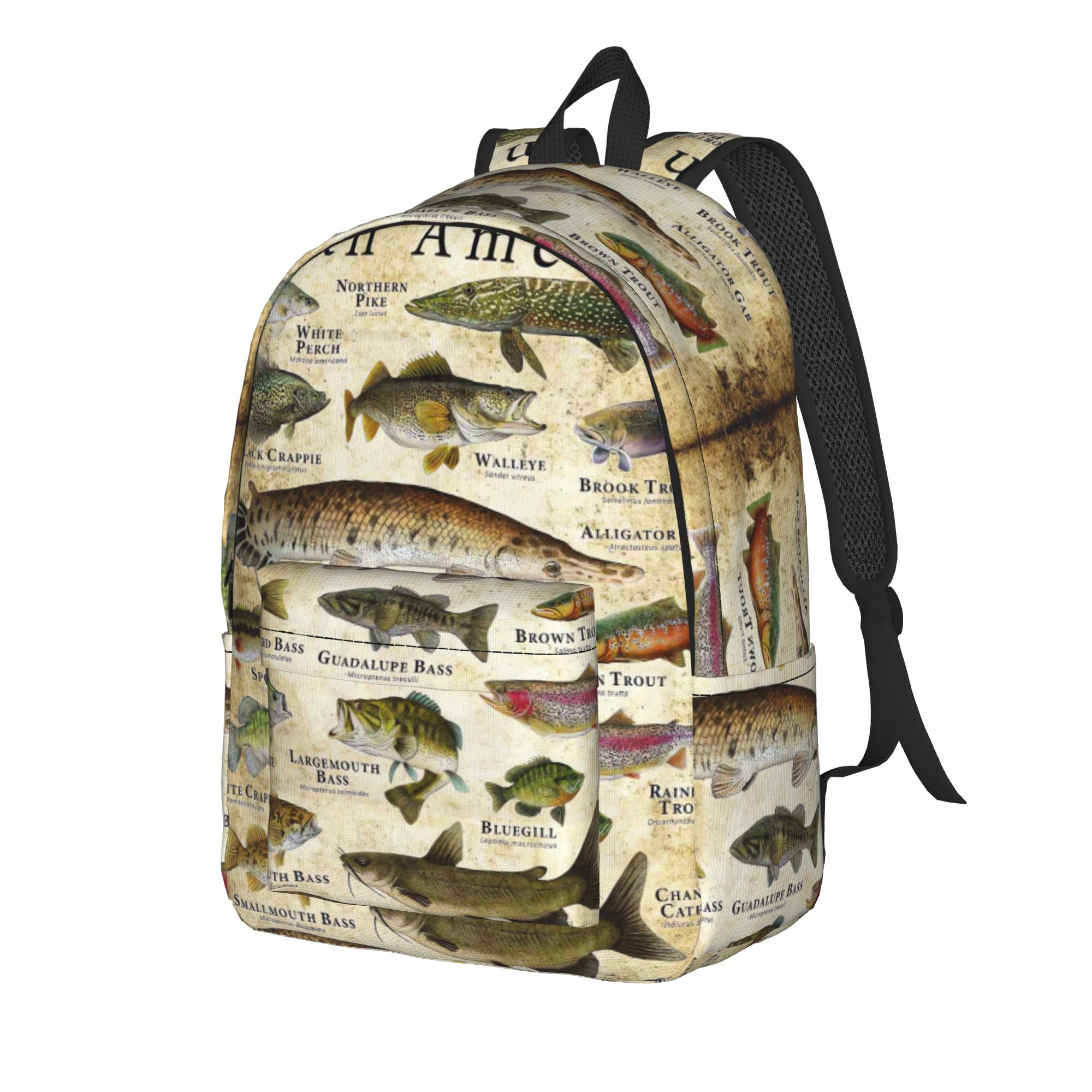 Fisch-Alphabet Lehrreicher Süß – Interior Design Education Bewertung und Preis