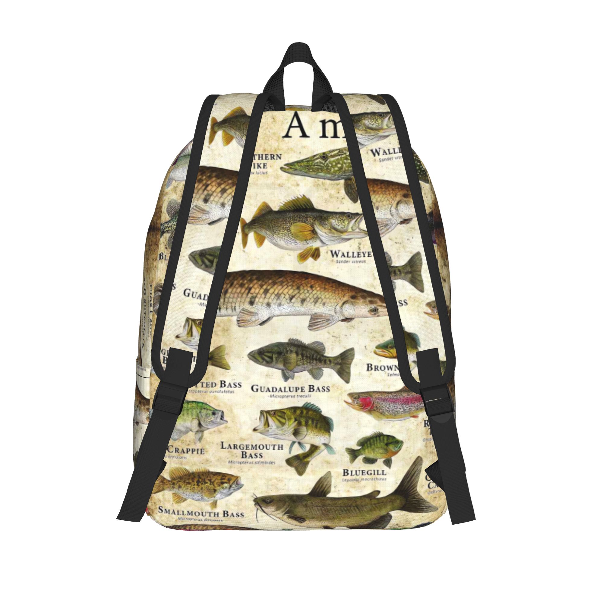Fisch-Alphabet Lehrreicher Süß – Interior Design Education Bewertung und Preis